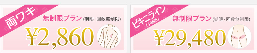 両ワキ無制限プラン