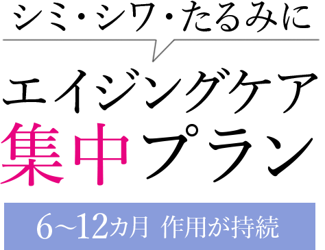 エイジングケア集中プラン