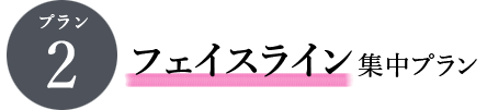 ェイスライン集中プラン