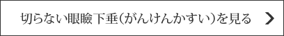 切らない眼瞼下垂を見る