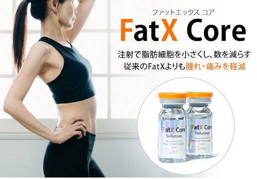 FatX core